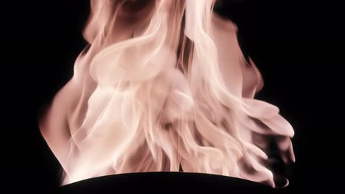 Flam Gas Fire Include Alpha