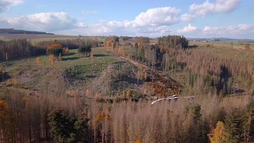 aerial deforested landscape, harvested forest