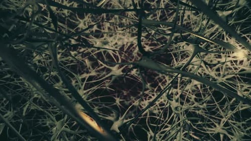 Brain Neurons And Synapses Network