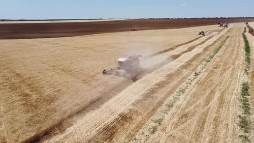 Harvester se rassemble