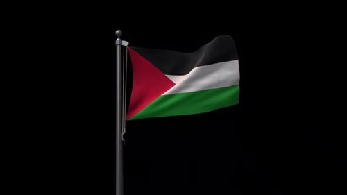 Realistic Palestine Flag Waving Animation on Black Background