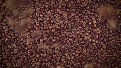 Kaffeebohnen fallen