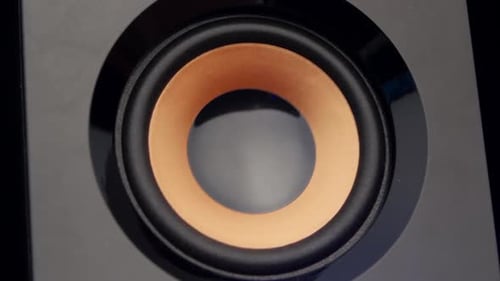 Moving Sub-woofer. Speaker Part. Closeup
