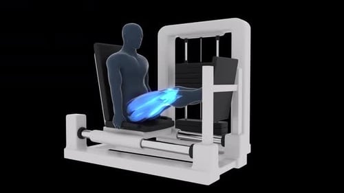 3D Human Anatomy Leg Press Exercise with Glowing Muscles