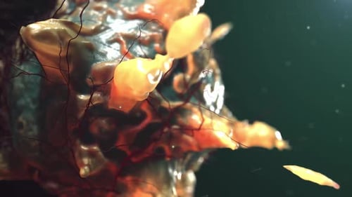 Animated Microscopic Cell with Organic Fluid Movement