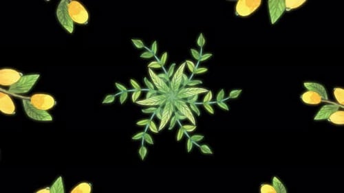 Growing Watercolor Floral and Berry Vine Animation