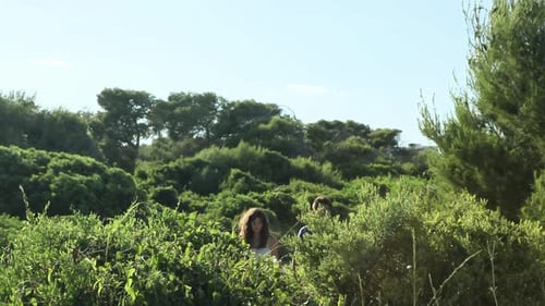Young Adults Walking Through Shrubbery Outdoors