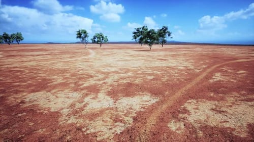 Badly Cracked Earth Under a Scorching Sun