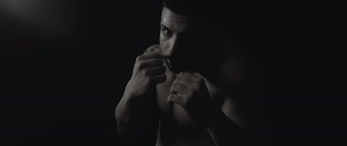 Boxer