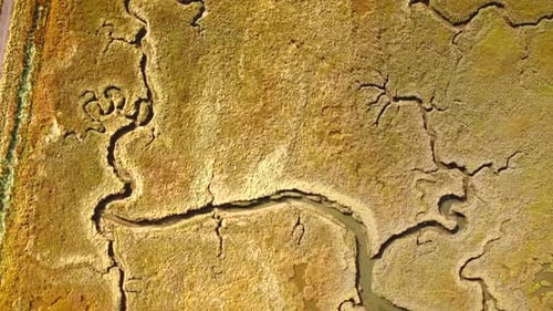 Abstract aerial view of Formosa lagoon in Portugal