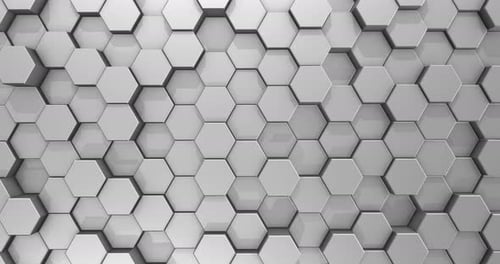 Animated White Hexagon Grid Background Loop