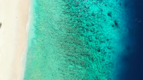 Wide birds eye tourism shot of a white paradise beach and aqua turquoise water background