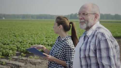 Farmers in cultivated field