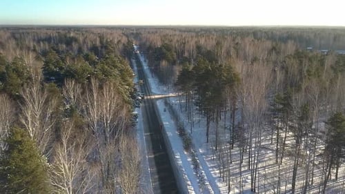 Upper View Person Runs Along Track in Wood Covered with Snow
