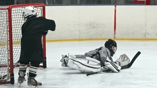 Goaltender Failure