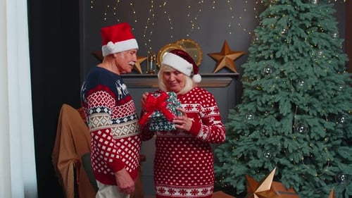 Senior Couple Exchanging Christmas Gifts in Cozy Home
