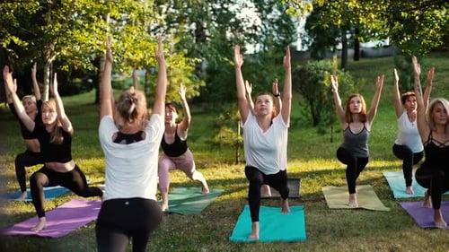 Women's Yoga Class in the Park