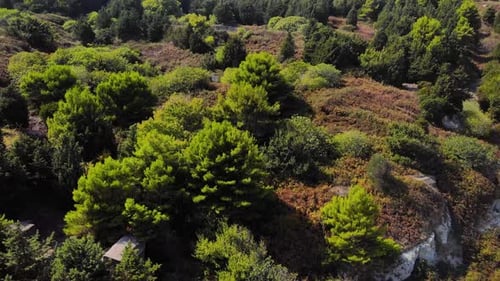 Vuelo de vista aérea de Zumbido sobre el bosque de pinos en la montaña en Albania