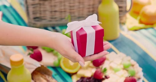 Giving Birthday Gift at Summer Picnic Outdoors