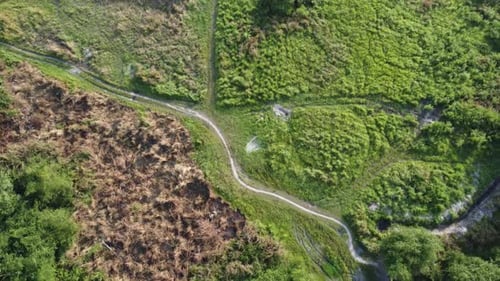 Aerial view dry grass in meadow