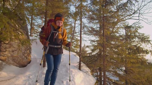 Hikers Explore Snow Covered Winter Forest