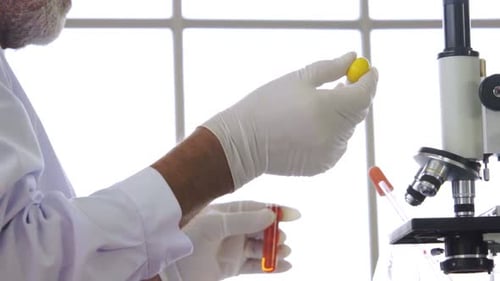 Adult Working in a Laboratory with Microscope