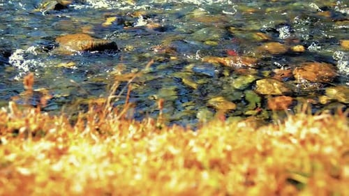 Dolly Slider Shot of the Splashing Water in a Mountain River Near Forest