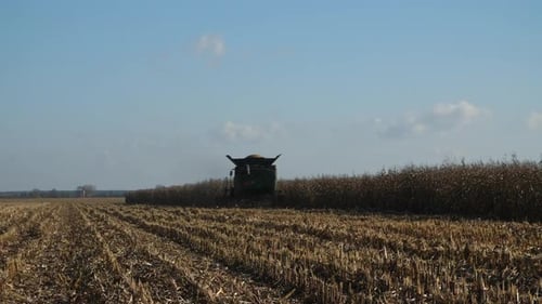 Green Harvester colhe a safra de milho maduro no campo agrícola