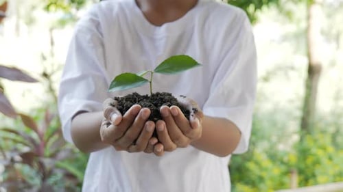 Green Plant Being Held in Hands Outdoors