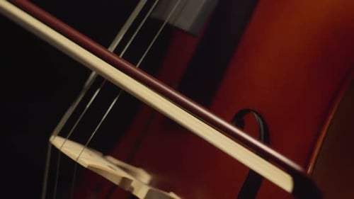 Bow and Strings of Cello Closeup Down View