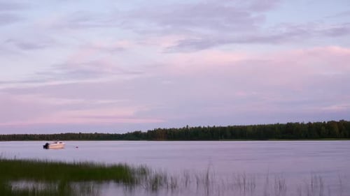 Summer Landscape