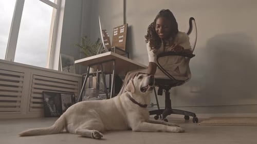 African American Woman Playing with Dog in Office