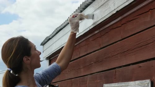 Junge Frau steht auf einer Trittleiter Und malt eine Wand aus Holzhaus. Frau macht Reparaturen zu Hause