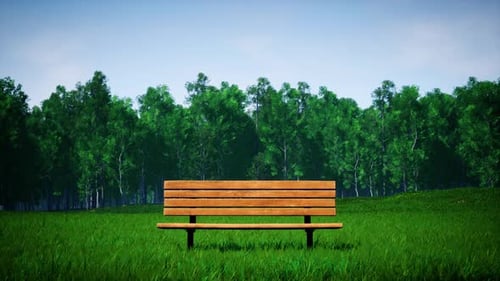 Wooden Bench On The Windy Green Grass Park At Sunny Day 4K 03
