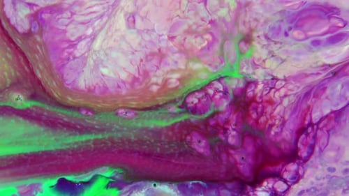 Abstract Organic Colorful Texture