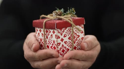Hands Holding Christmas Gift in Close Up