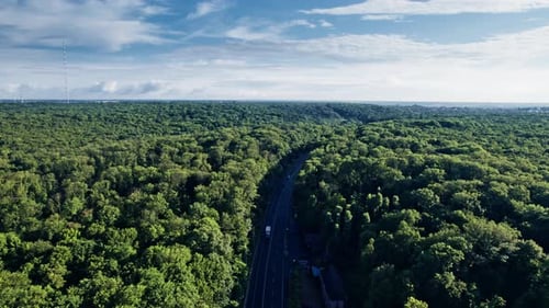 Car Driving Down an Asphalt Road Crossing the Vast Forest