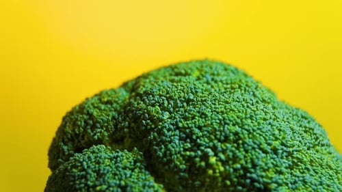 Close Up Green Fresh Broccoli Vegetables Rotating