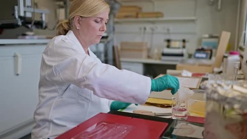 Scientist preparing brain slide at laboratory