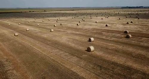 Rural Landscape with Golden Straw Bales