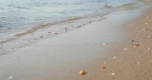 Les vagues de la mer battent le rivage