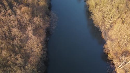 Aerial Drone View of Forest River