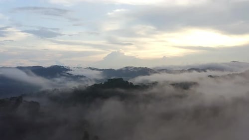 Aerial view of a tropical forest covered in fog during sunset that is revealed behind the fog