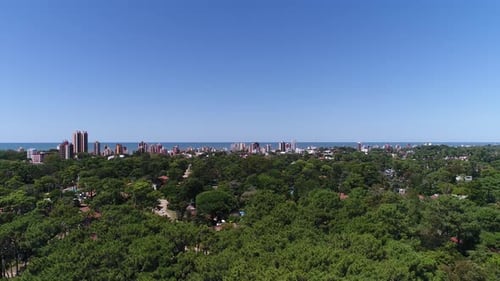 Flying Over Town By The Sea And Forest