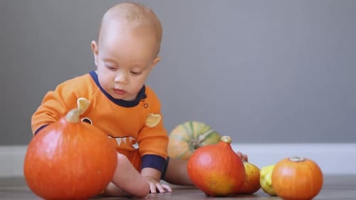Baby Plays with Pumpkins on Floor