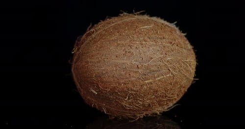 Whole Brown Coconut on Black Background Close Up