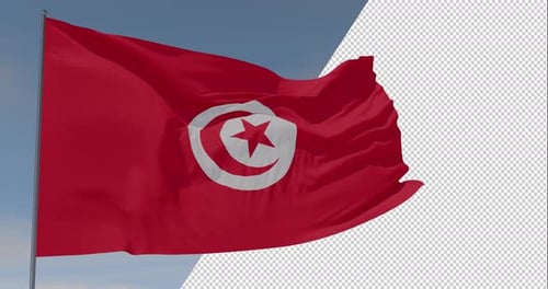 Waving Tunisia Flag with Alpha Channel for Compositing