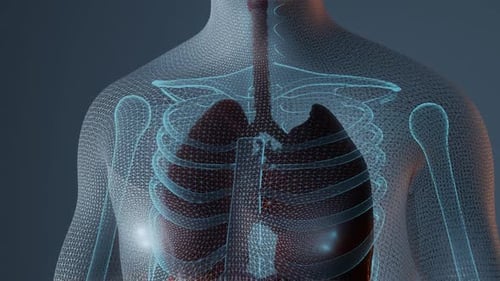 3D Animation of Human Torso, Organs, and Disease Visualization