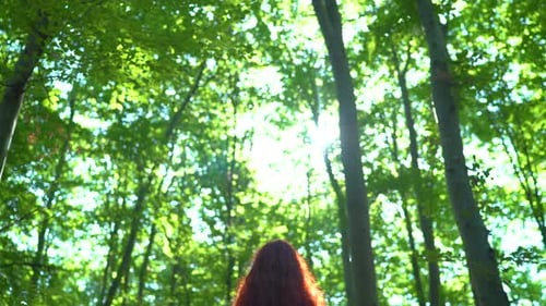 Tilt down view of a woman in the woods