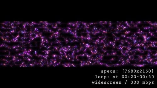 Multi Color Particles Waves